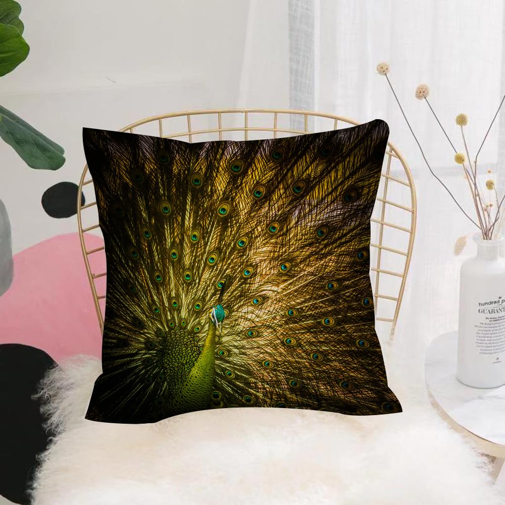 HYOSXW Cushion Cover,Throw Pillow Case Home Decorative for Living Room Bedroom Sofa Chair 16X16 Inch,Peacock set, portrait of male peacock with feathers Image in dark colors Modern,Pillowcase 40X40cm