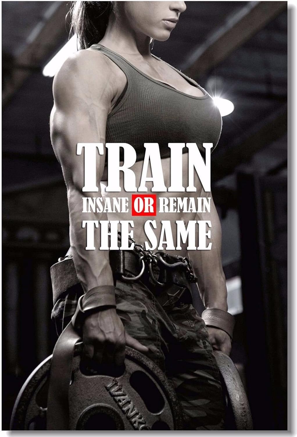 1x Poster Fabric Bodybuilding Men Girl Fitness Workout Quotes Motivational Inspiration Muscle Gym Font 35.5x23.5" (90x60cm) (029)