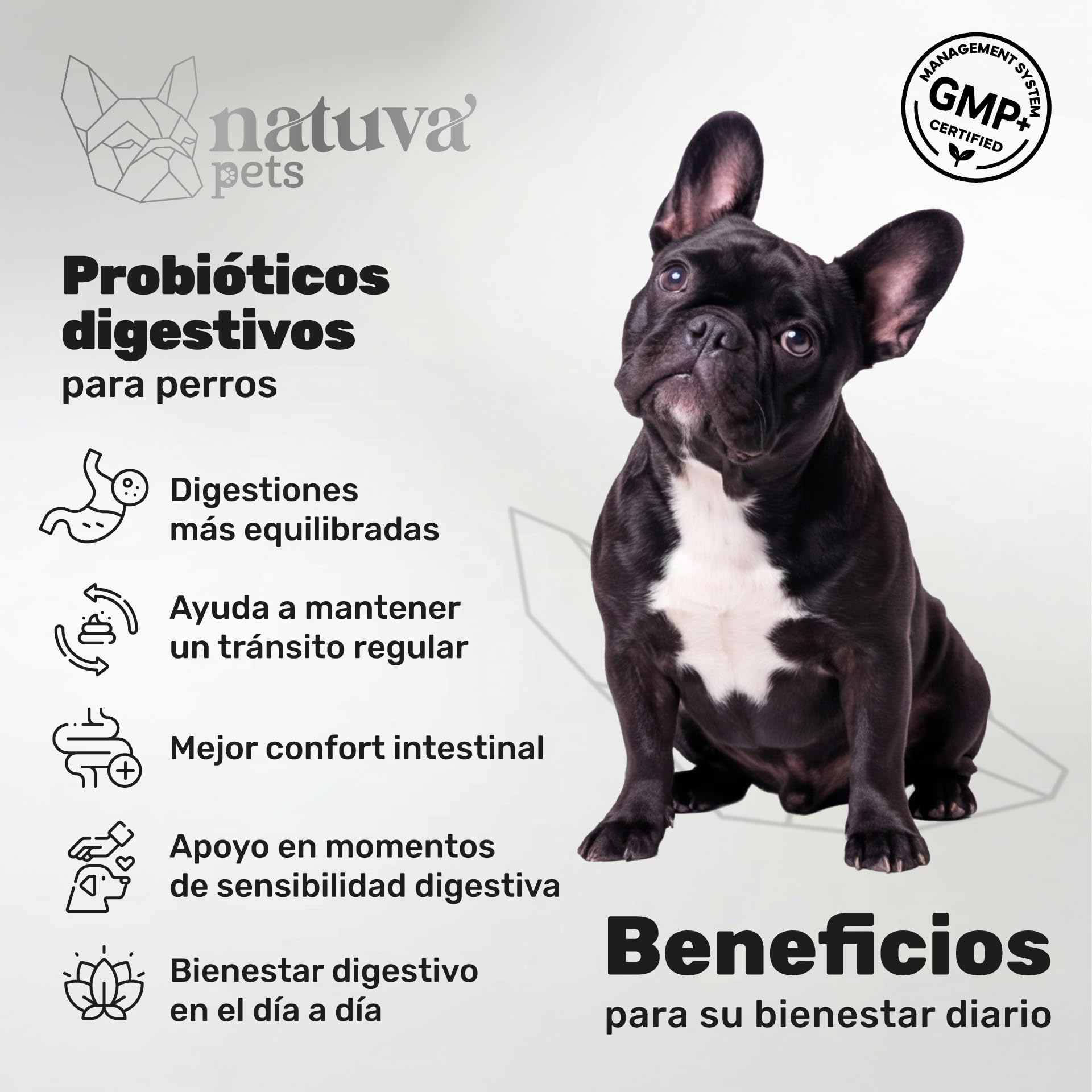Probiótico para Perros - Repara la Flora Intestinal y Protege el Sistema Inmunológico - para Diarreas, Gases y Vómitos - con Prebióticos - Suplemento Gastrointestinal para Perros - 120 Masticables — view 2