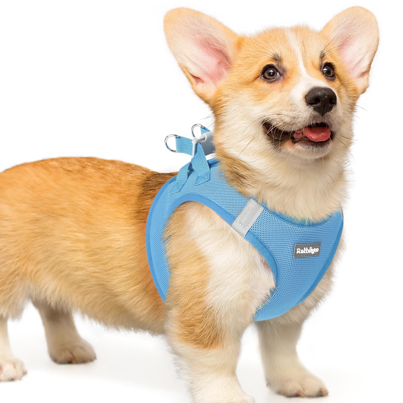 rabbitgoo Dog Harness Small Dog, Step-in Soft Mesh Puppy Harness with Reflective Strips