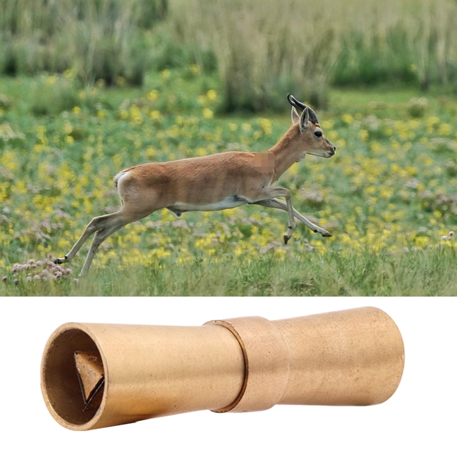 Fischietto Richiamo Cervi Fischietto Richiamo Piccoli Animali | Suono Potente Attira Cervi per Caccia Osservazione Allevamento Escursionismo Guide Campo Uomini Donne