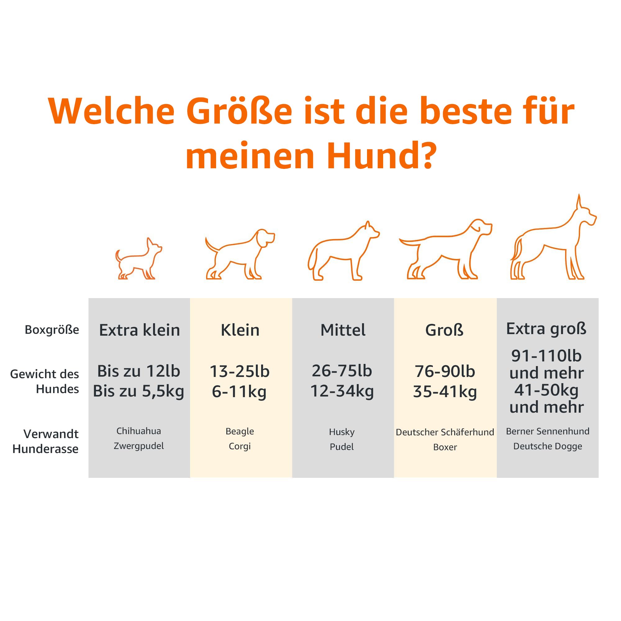 Amazon Basics Kühlendes erhöhtes Hund Haustierbett, M, Grau, L 110 x B 65 x H 19 cm