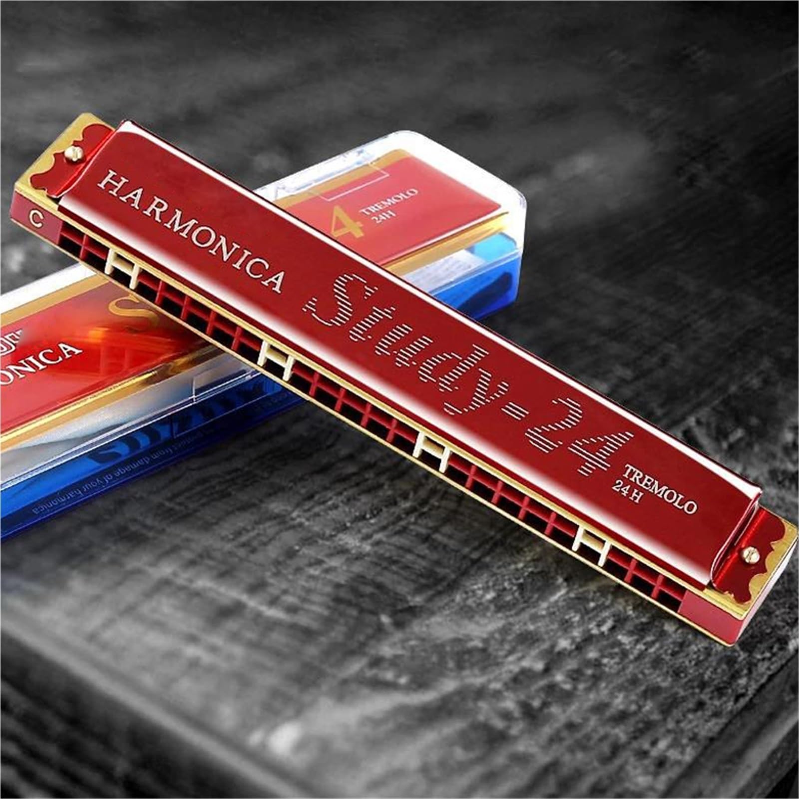 Armoniche a bocca Armonica A Bocca A 24 Fori Con Tremolo E Custodia Strumento Musicale Chiave C(Red)