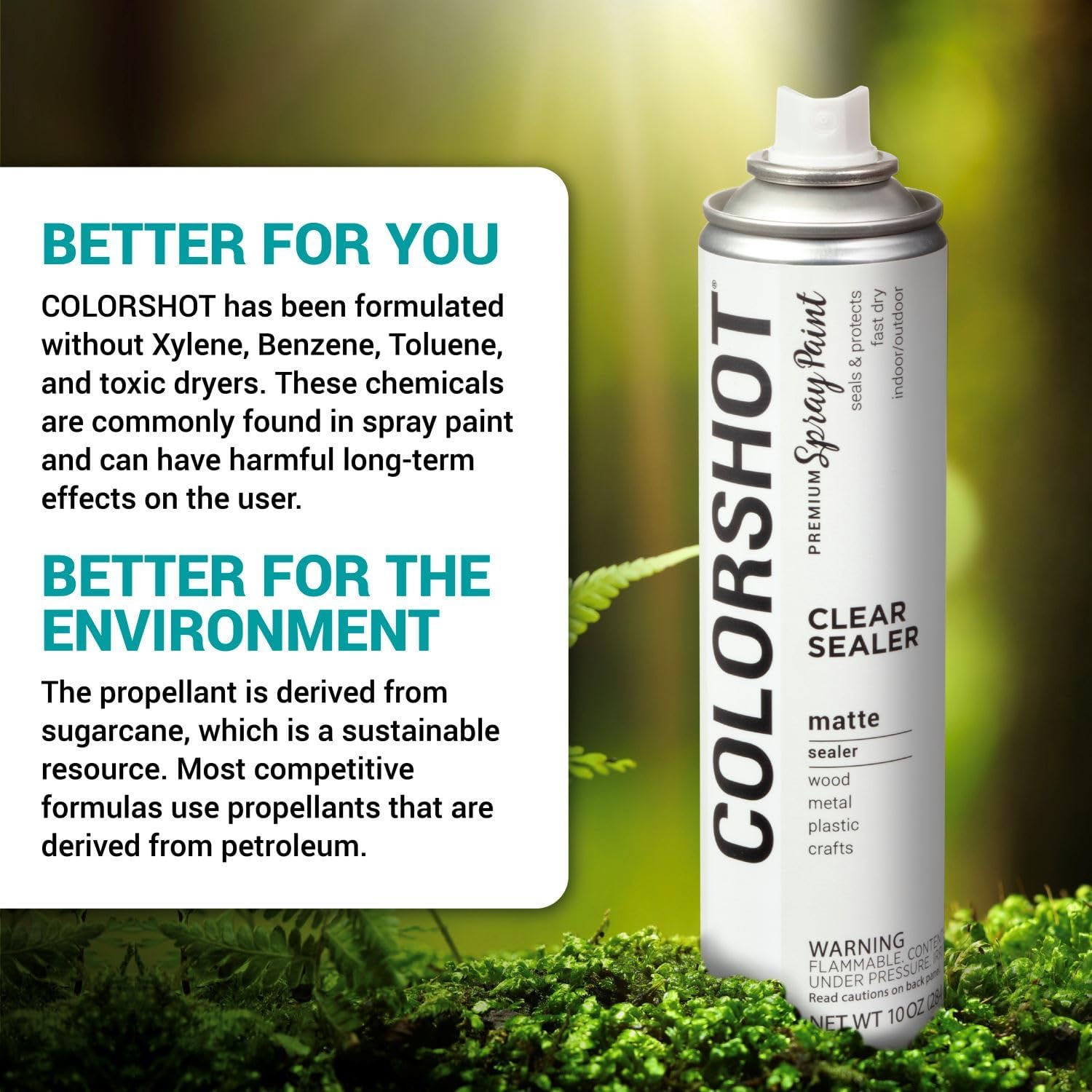 COLORSHOT Matte Sealer Spray Paint, Clear Matte, 10 oz