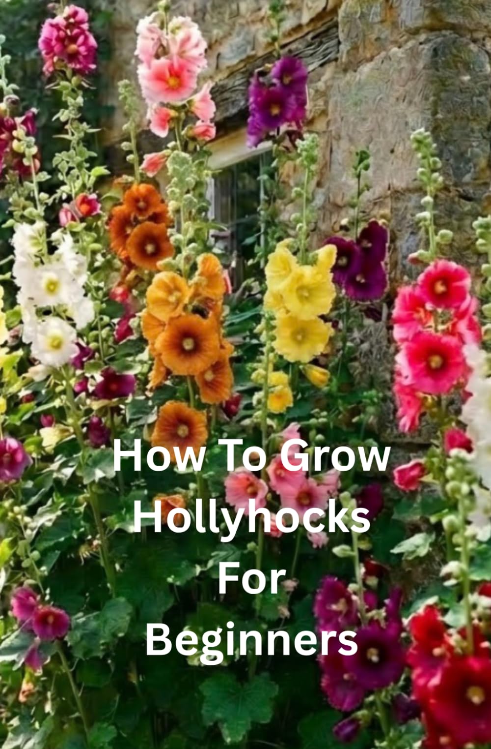 How to Grow Hollyhocks for Beginners: A Step-by-Step Guide to Growing Healthy, Hollyhocks from Seed to Bloom