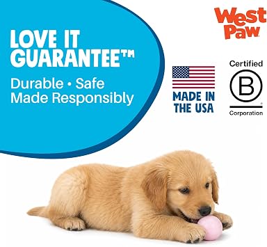 WEST PAW Small Boundr Dog Toy - 2 -Pack - Squishy Ball - Bubblegum