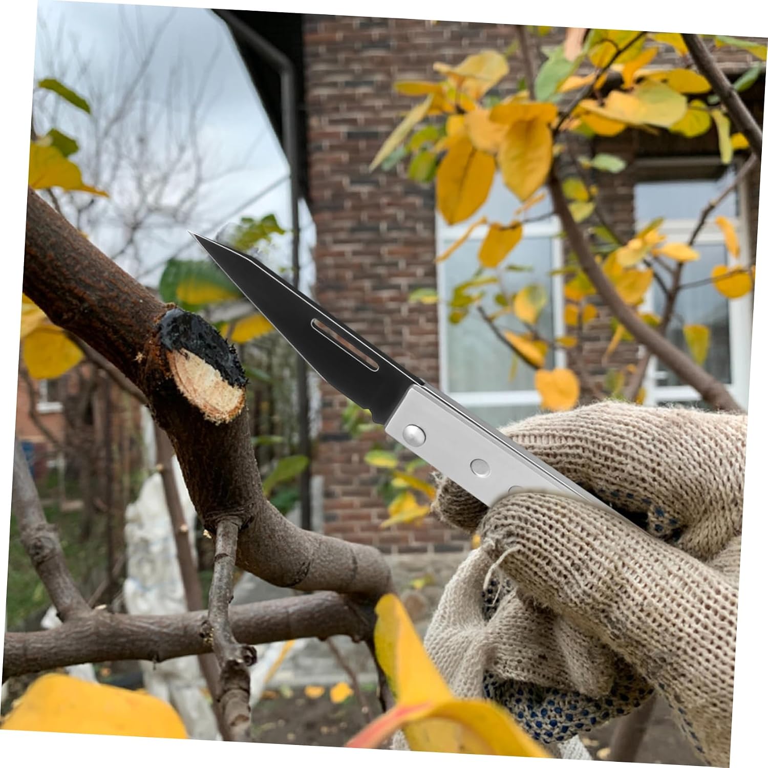 Stainless Steel Tree Debarking Tool Bark Cutting Tool Comfortable Grip for Daily Gardening Tasks