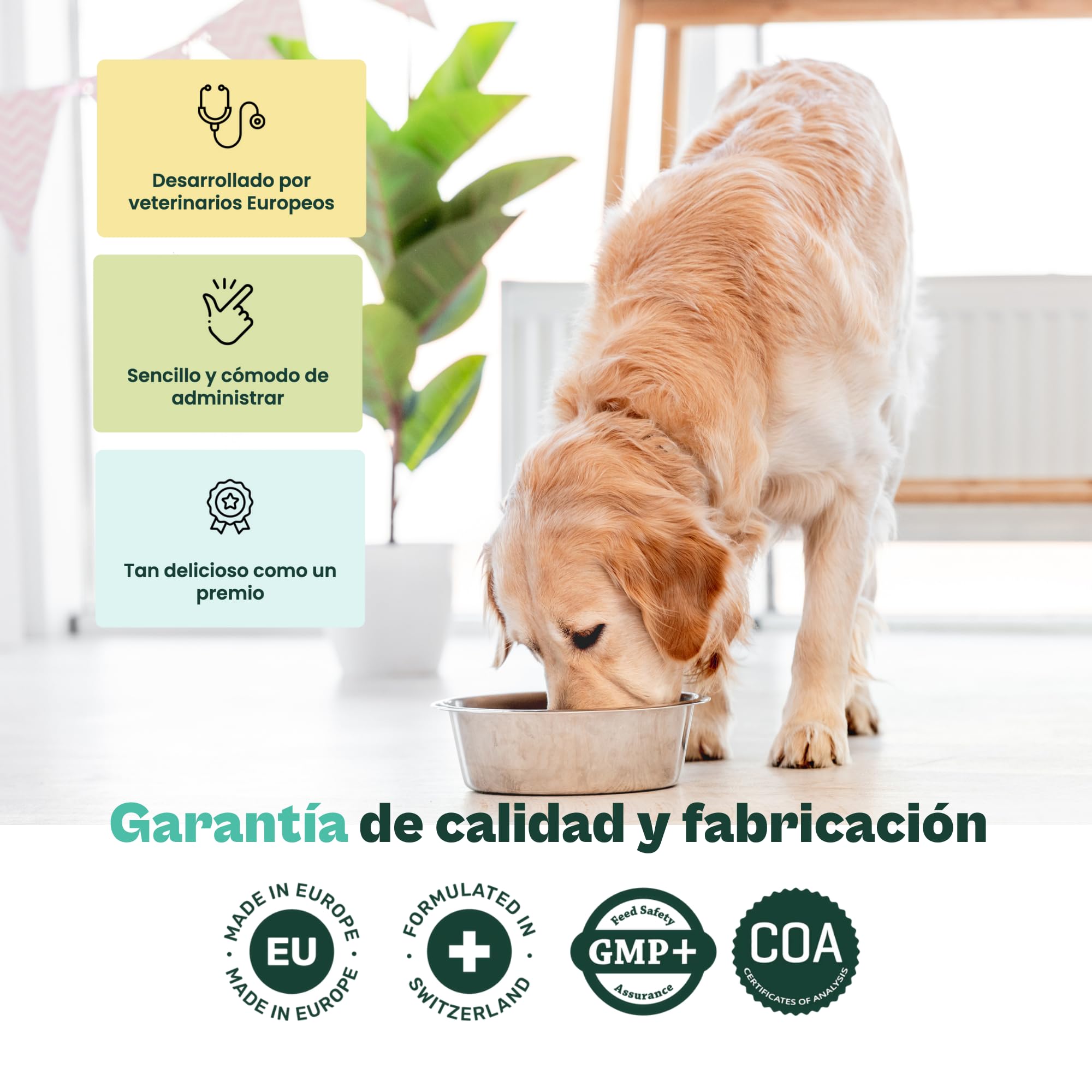 Gooddy - Cuidado Encías y Limpieza Dientes para Perros. Polvos Naturales 180g, Sin Cereales e Hipoalergénico – Elimina sarro, Placa y Mal Aliento. Alga Marina Natural Kelp, Zinc, Menta. 6 Meses Uso