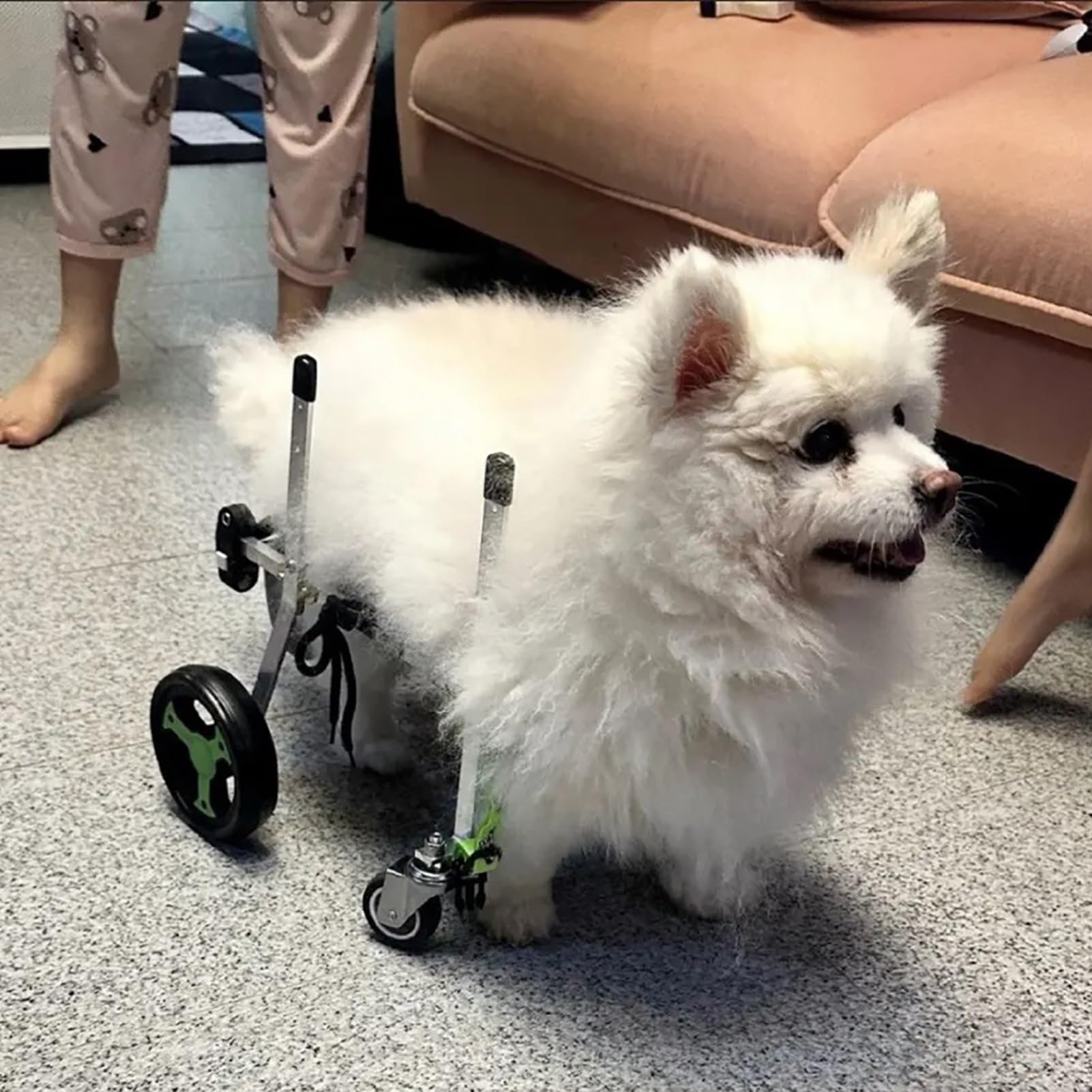 Amazon.co.jp: 脚フルサポート用4輪犬用車椅子、大型中型小型ペット用