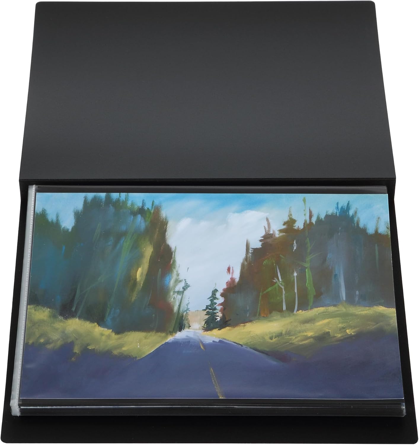 Stein Design GoSee Professional Archival Art or Photo Portfolio Binder, 9"x12" - Organizer w/Rigid Cover, 24 Double-Sided Acid-Free Pages with Side Welded Seam Sleeves & Dividers, No Ghost Print