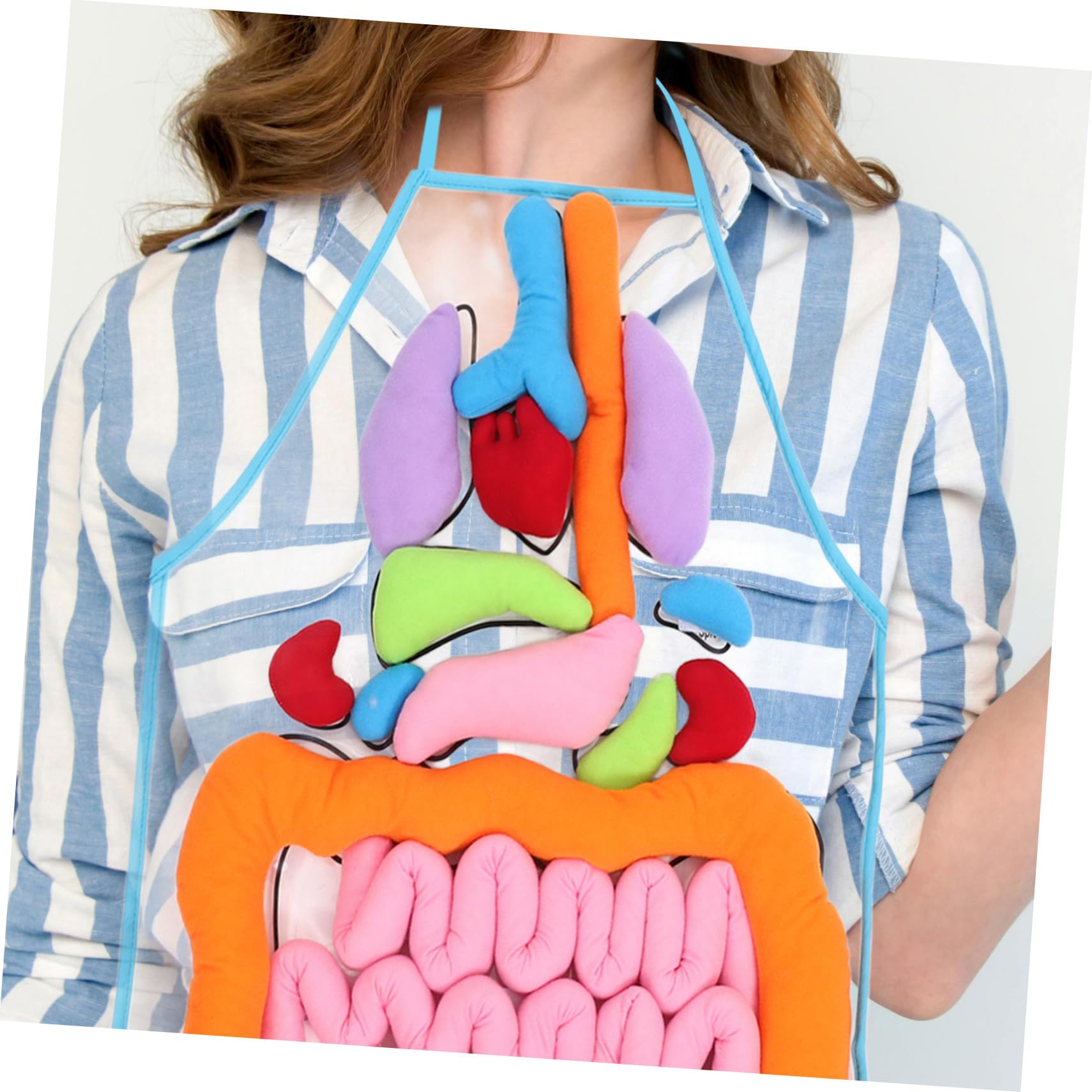 Gatuida Juguete Cognitivo para Niños Delantal Educativo de Poliéster y Felpa, Material Didáctico para Aprender Órganos del Cuerpo Humano en Educación Temprana