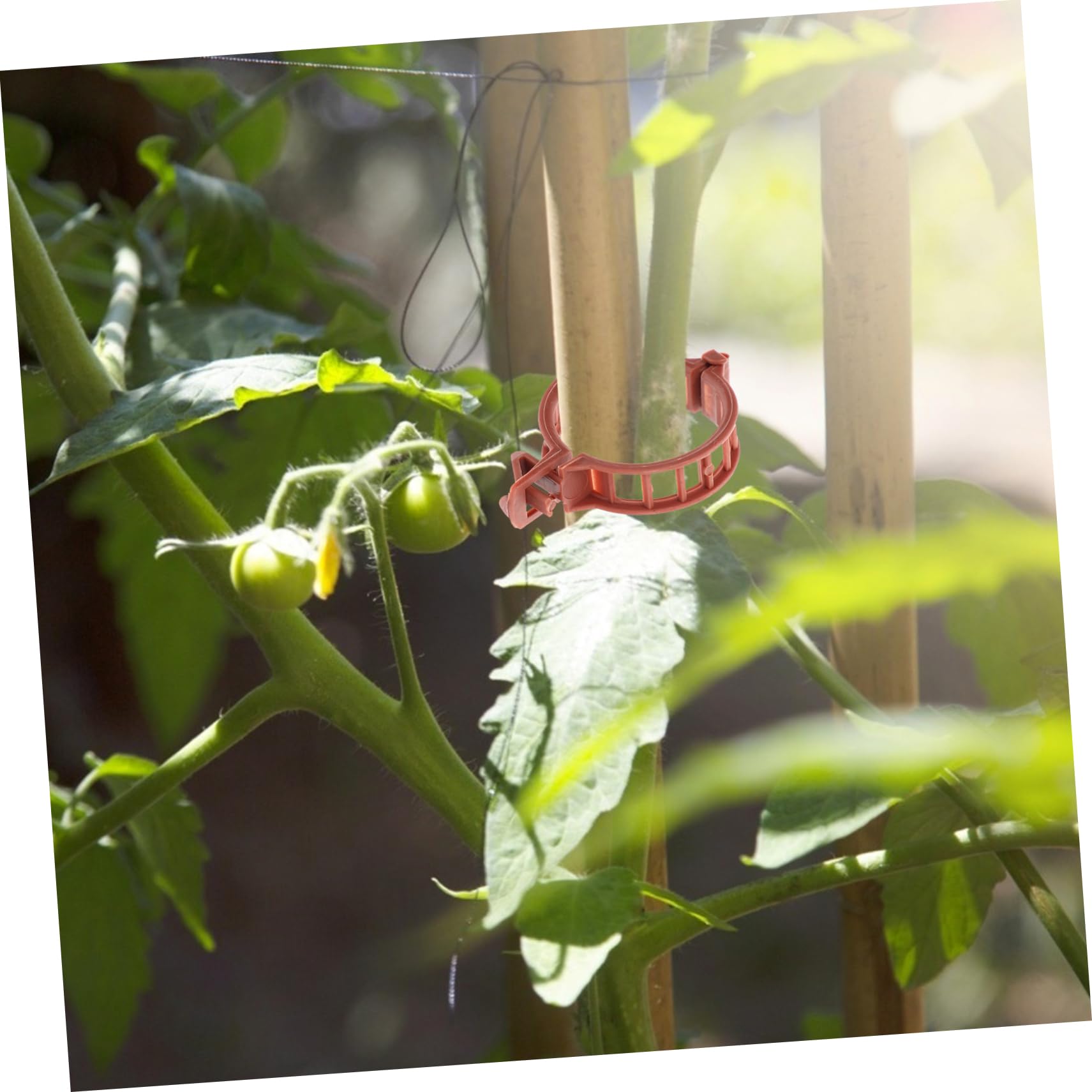 TOYANDONA 400pezzi Clip per Clips per Giardinaggio per Cetrioli e Rampicanti Protezione per Fusti e Sostenibile