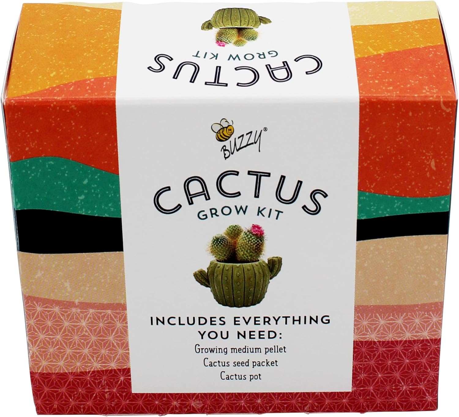 BUZZY Seeds 4pk Mini Cactus Grow Kit with Ceramic Planter, Succulent Seeds, Growing Medium, Easy Instructions, Indoor Gardening Gift for Beginners, Birthdays, Housewarming and Home or Office Decor