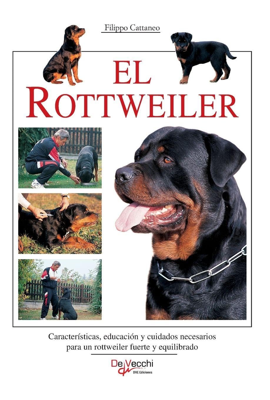 El rottweiler: Características, educación y cuidados necesarios para un rottweiler fuerte y equilibrado