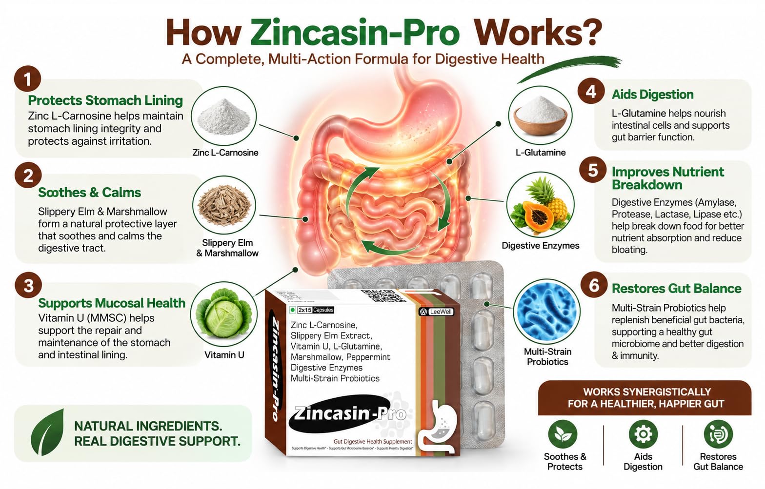 Zincasin-Pro Digestive Enzyme Capsules with Probiotics, Zinc Carnosine & L-Glutamine | Slippery Elm, Aloe Vera & Vitamin U | Digestion & Gut Health Support - 30 Capsules (by LeeWell) — Amazon image 6