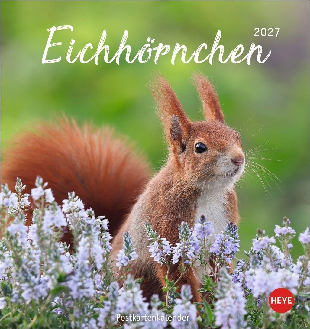 Eichhörnchen Postkartenkalender 2027: Dekorativer Monats-Tischkalender zum Aufstellen oder Aufhängen. Fotokalender voll niedlicher Eichhörnchenbilder, als Postkarten zum Sammeln und Verschicken.