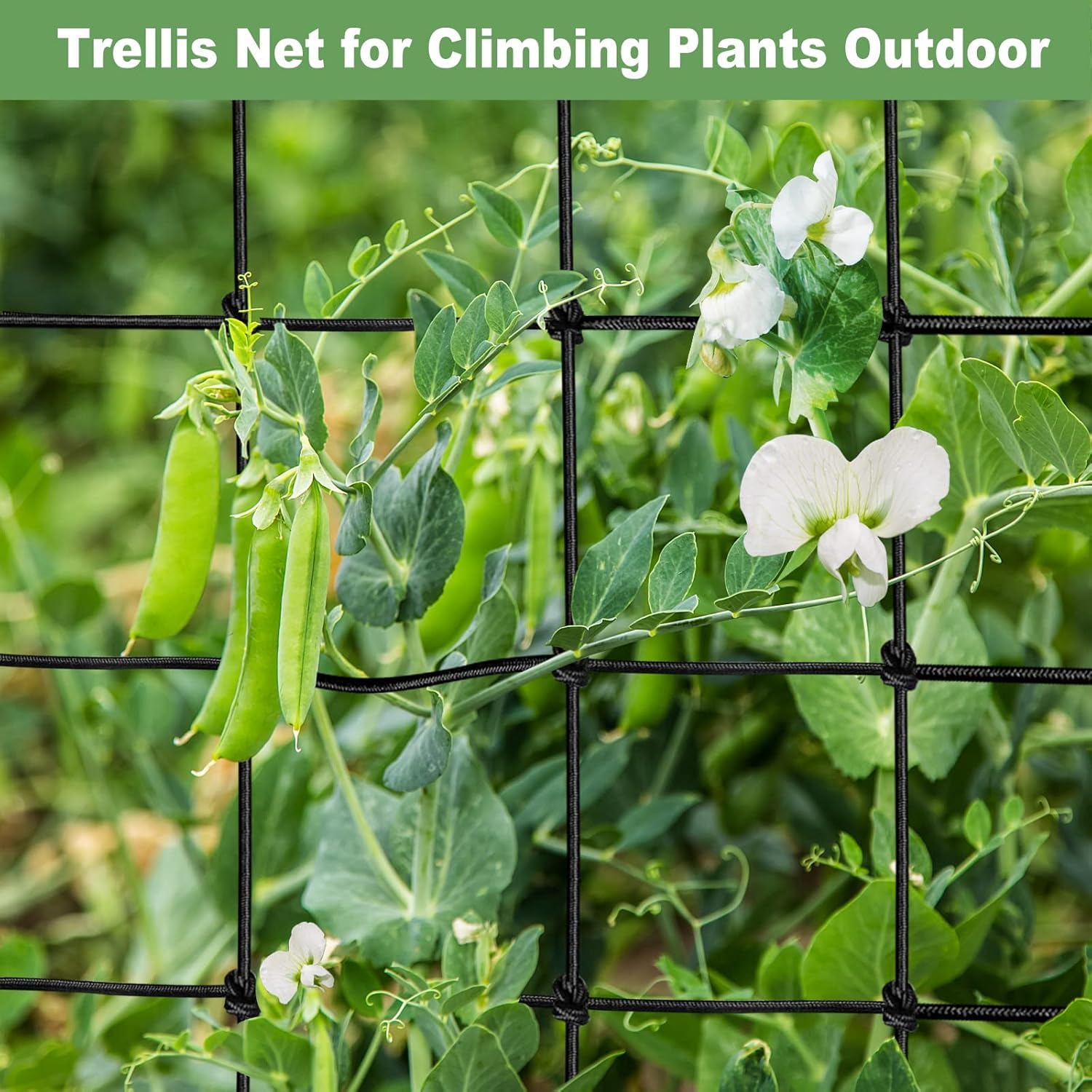Rete a Traliccio per Piante Rampicanti Rete a Traliccio da Giardino Resistente per Vite, Frutta e Verdura Piante Rampicanti, 3,34 X 10 m | Leroy Merlin