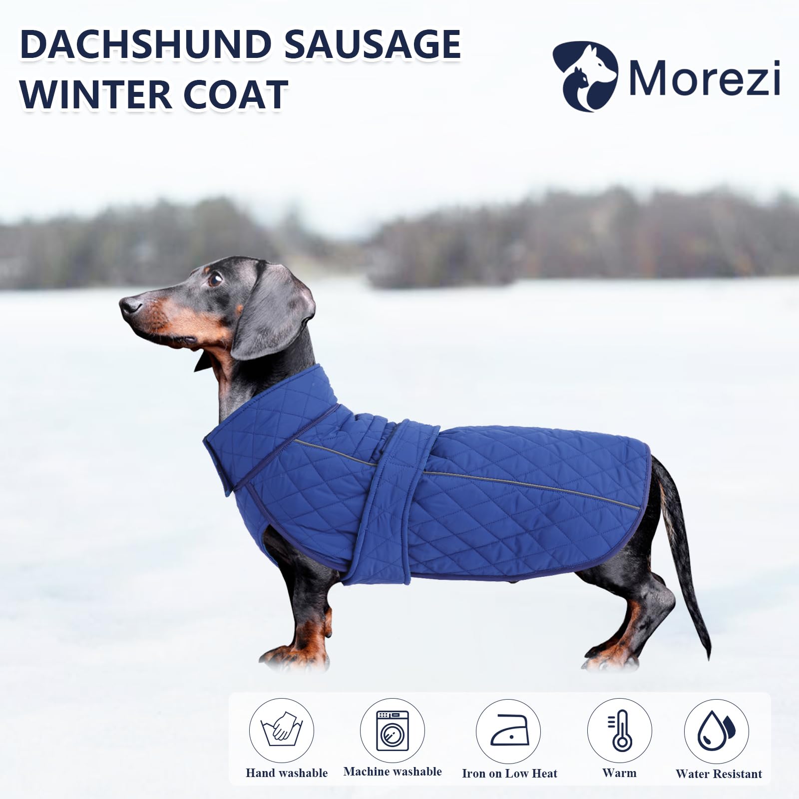 Dachshund Jacket Dachshund Raincoat Weiner Dog Clothes Suitable