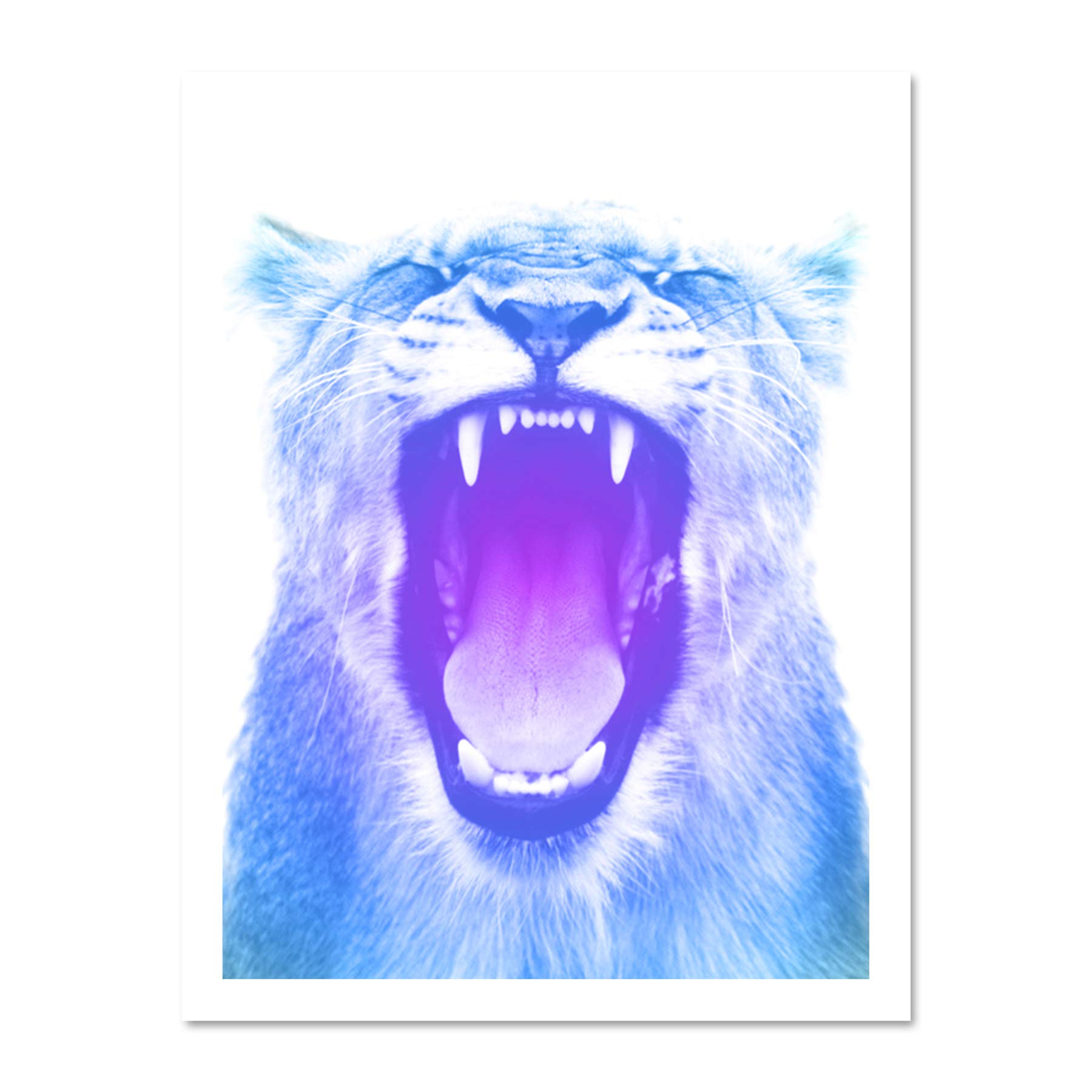 Wee Blue Coo Colourful Roar Lion Large Framed Art Print Wall Poster 18x24 inch