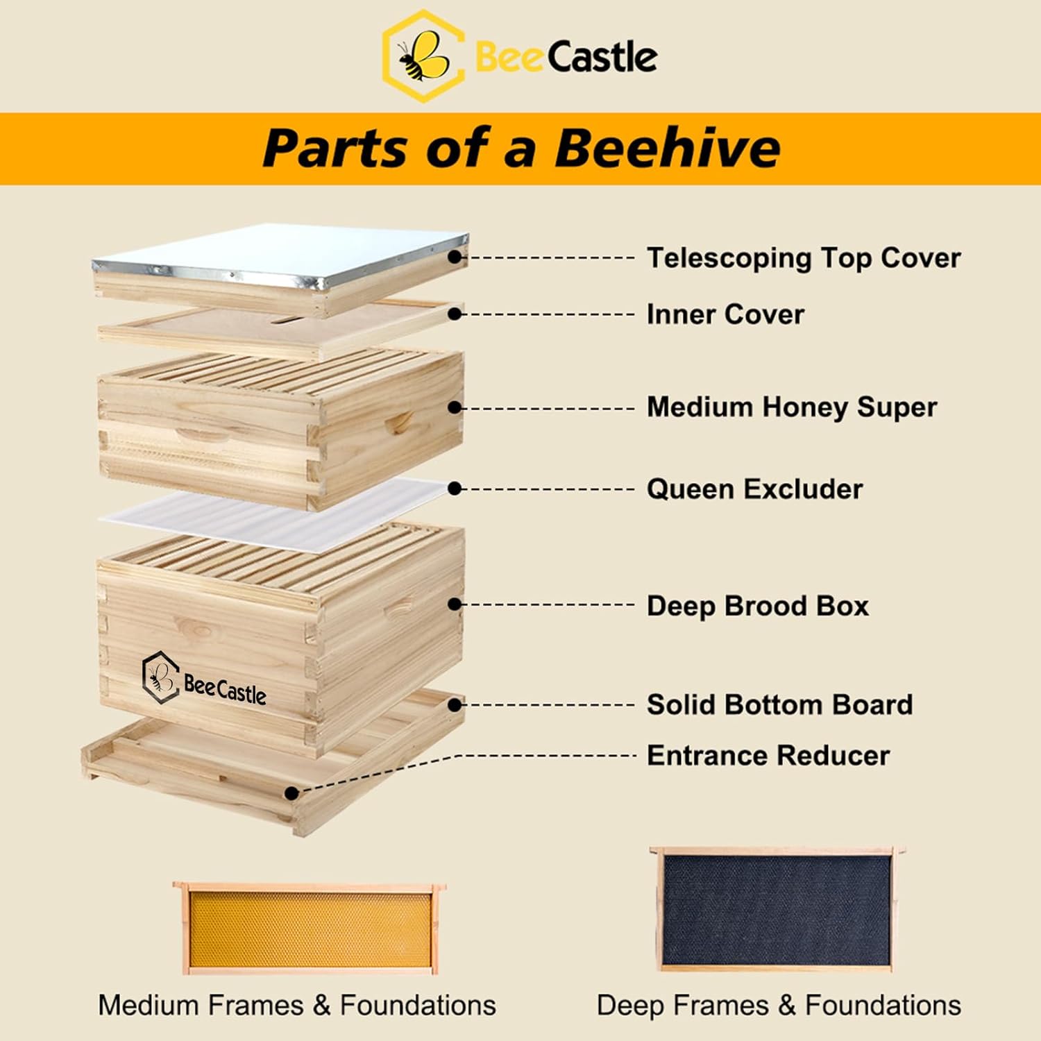 BeeCastle 10 Frame Langstroth Bee Hive, Beehive Starter Kit for Beginners with Beehive Frames and Waxed Foundation (1 Deep Box & 1 Medium Box)