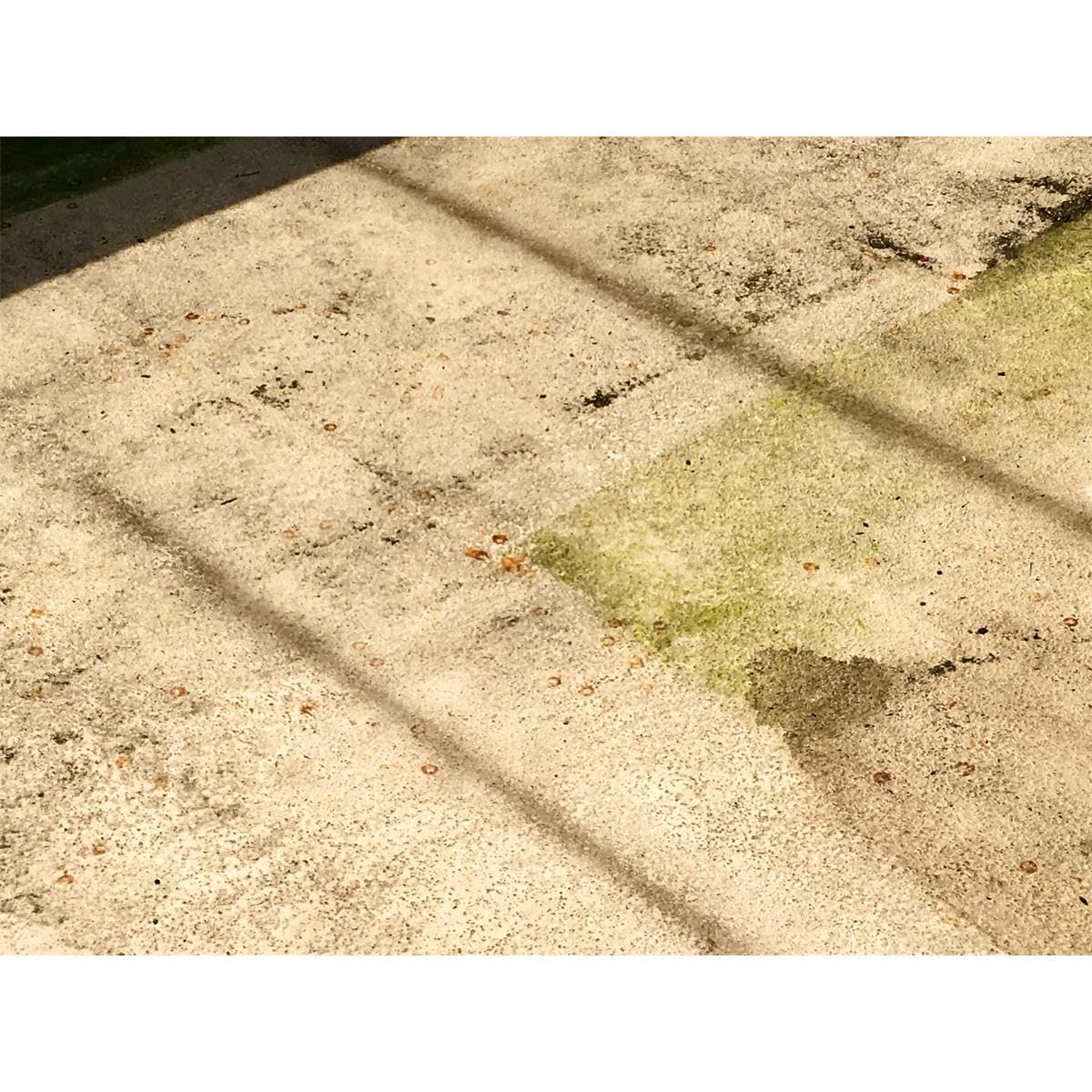MELLERUD Grünbelag Entferner - 2x 5 l | Grünbelagentferner & Steinreiniger - Effizientes Reinigungsmittel zum Entfernen von Algen und Grünbelag
