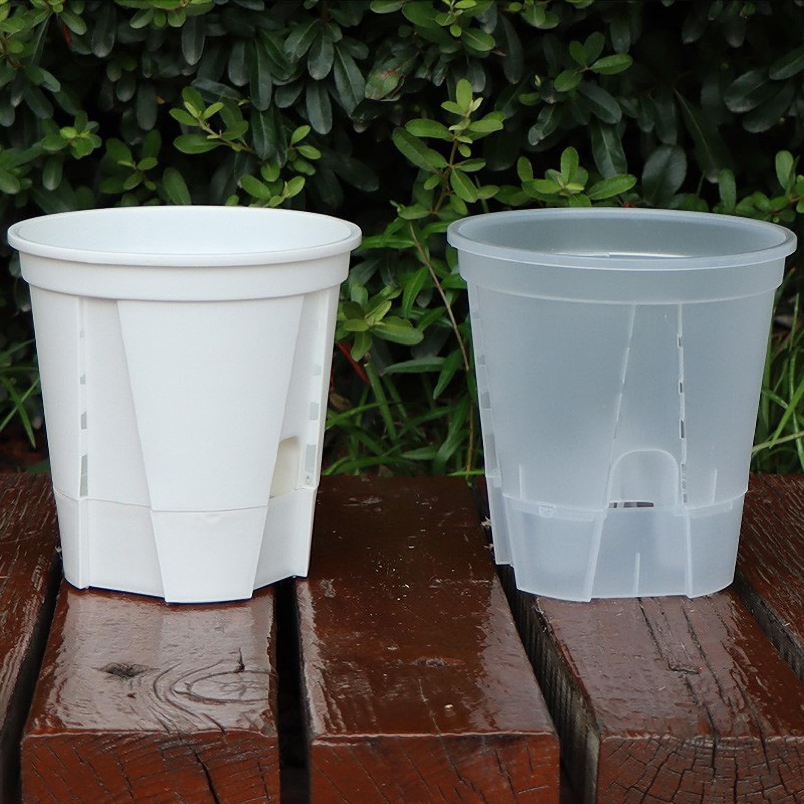 Amazon.co.jp: MINGZHE 5個 蘭鉢、プラスチック植木鉢屋内屋外、植え