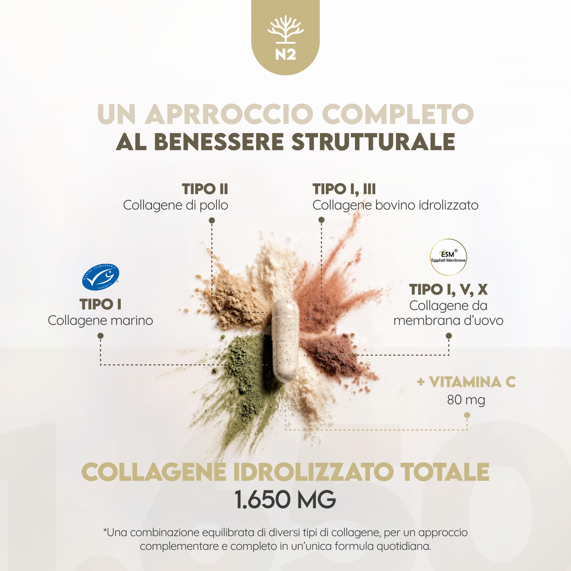 Multi Collagene Idrolizzato + Triple Magnesio. Magnesio Bisglicinato Citrato e Malato 440 mg + Multi Collagene Tipi I, II, III, V & X con Vitamina C.180 Compresse + 180 Capsule. N2