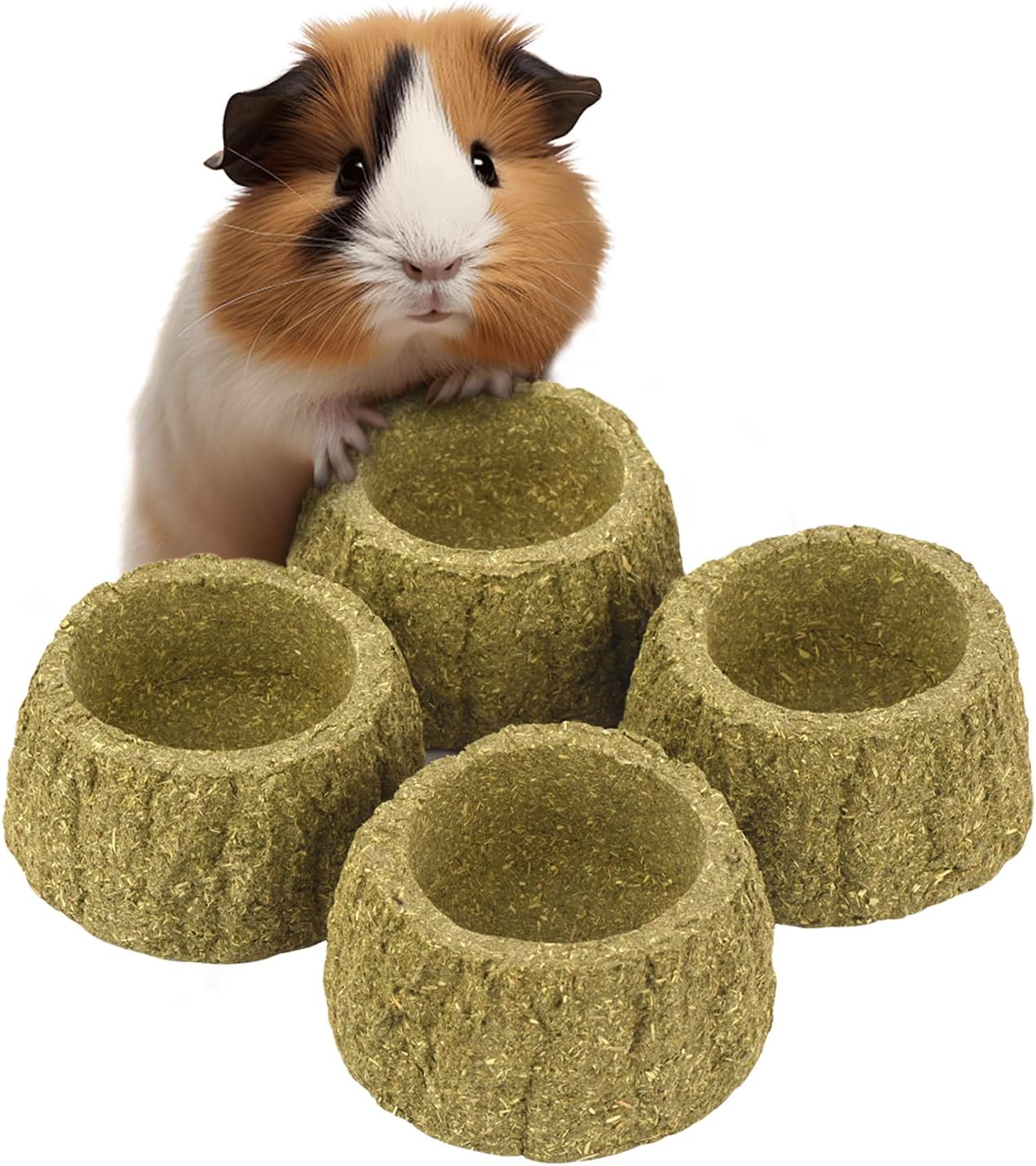 Evergreen Pet Supplies Guinea Pig Bowl 4-Pack, Martinique Ubuy
