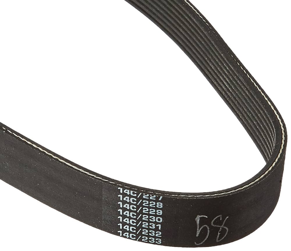 ウェ CARLISLE 190J8 V-Ribbed Belts with 8 Ribs, J Section, Rubber