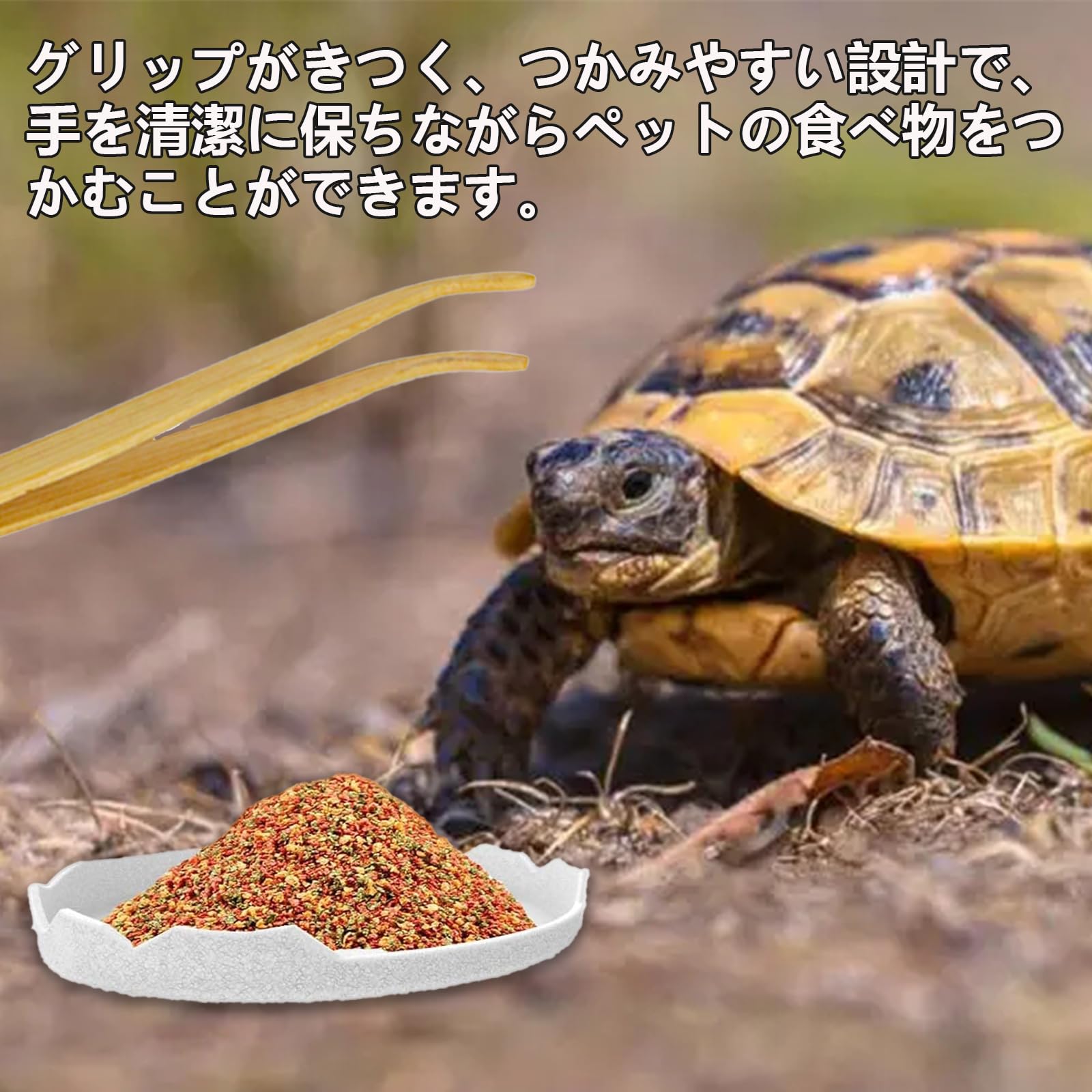 ぽん　爬虫類水入れ　10個セット 水入れ エサ入れ 爬虫類用飼育用品 爬虫類用飼育器具 販売 通販