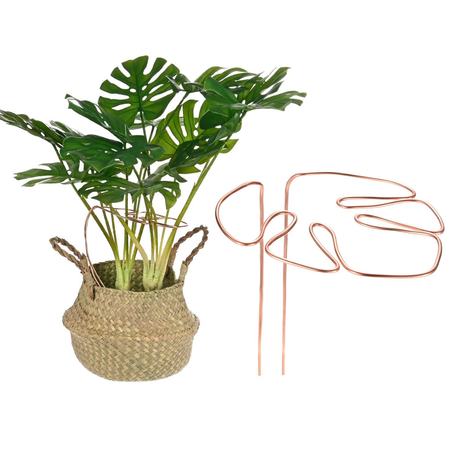 M METERXITY 1-Pack Monstera Plant Support
