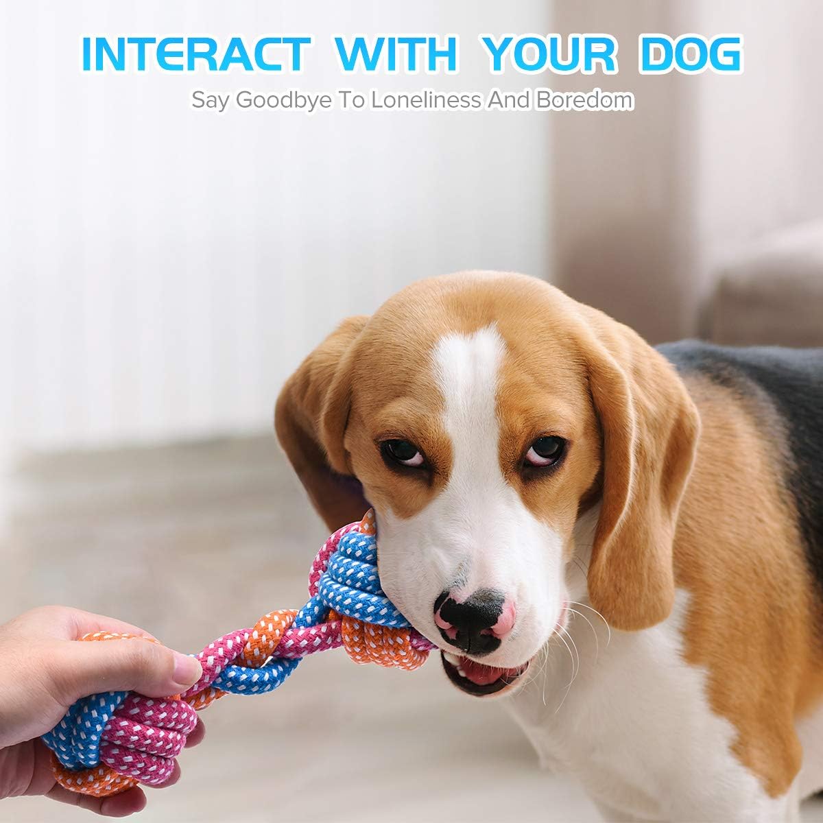 Are Rope Chew Toys Safe For Dogs