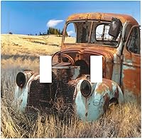 Vista 144 de Cubierta de interruptor de luz de 3 cuadrillas con diseño de flores azules púrpuras, cubierta de placa de pared de triple palanca, arbustos florales