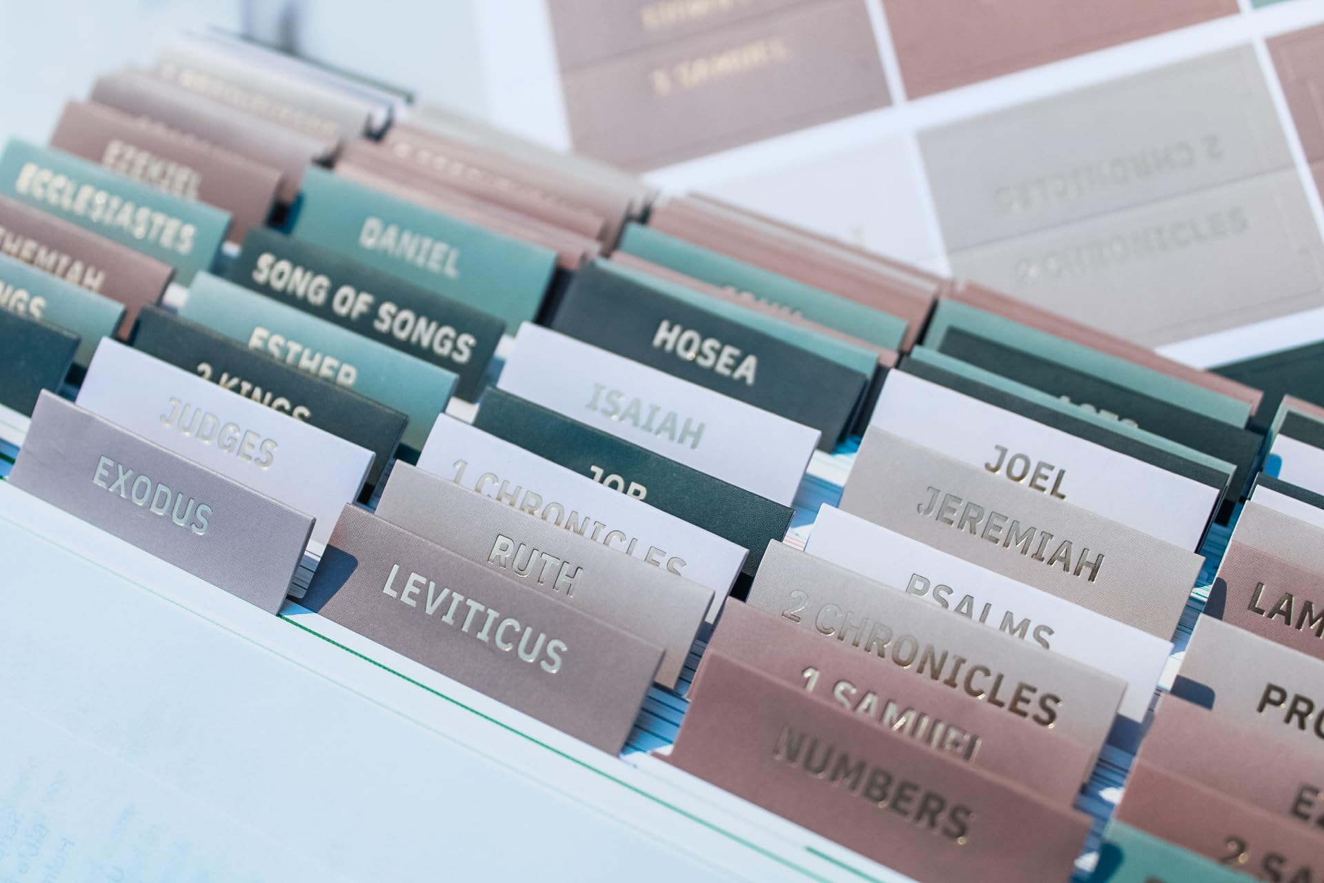 Snapklik.com : Laminated Bible Tabs For Women Study Bible - Earth Tone ...