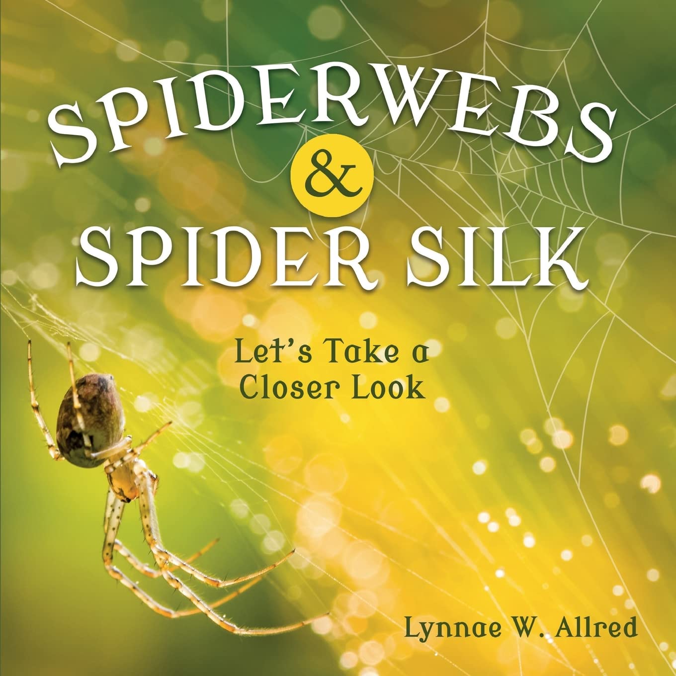 Spiderwebs and Spider Silk: Let’s Take a Closer Look