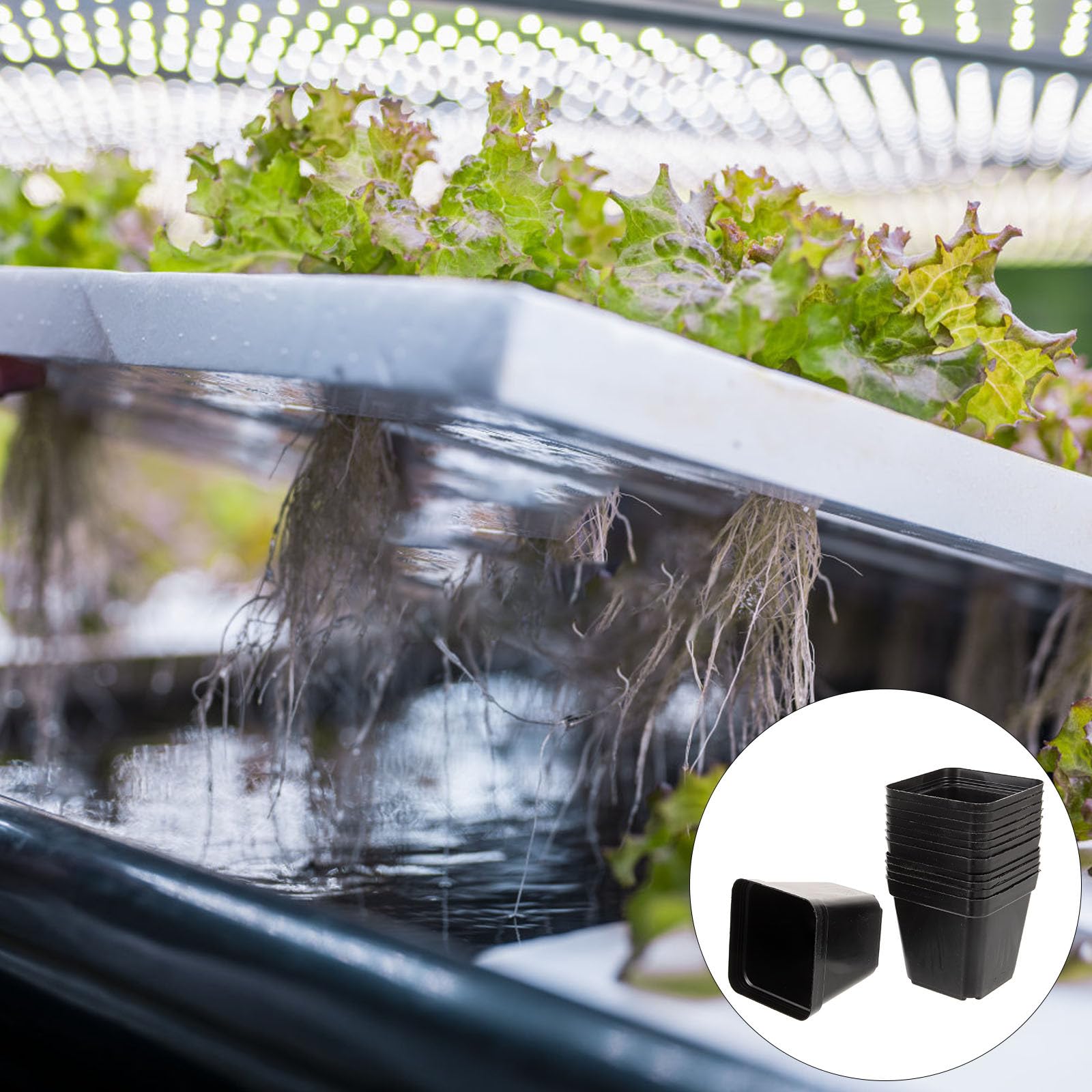 VALICLUD Lot de 120 Pots de Semis Carrés en Plastique Noir avec Trous de Drainage, Légers et Faciles à Nettoyer pour Culture et Plantation de Jeunes Plants