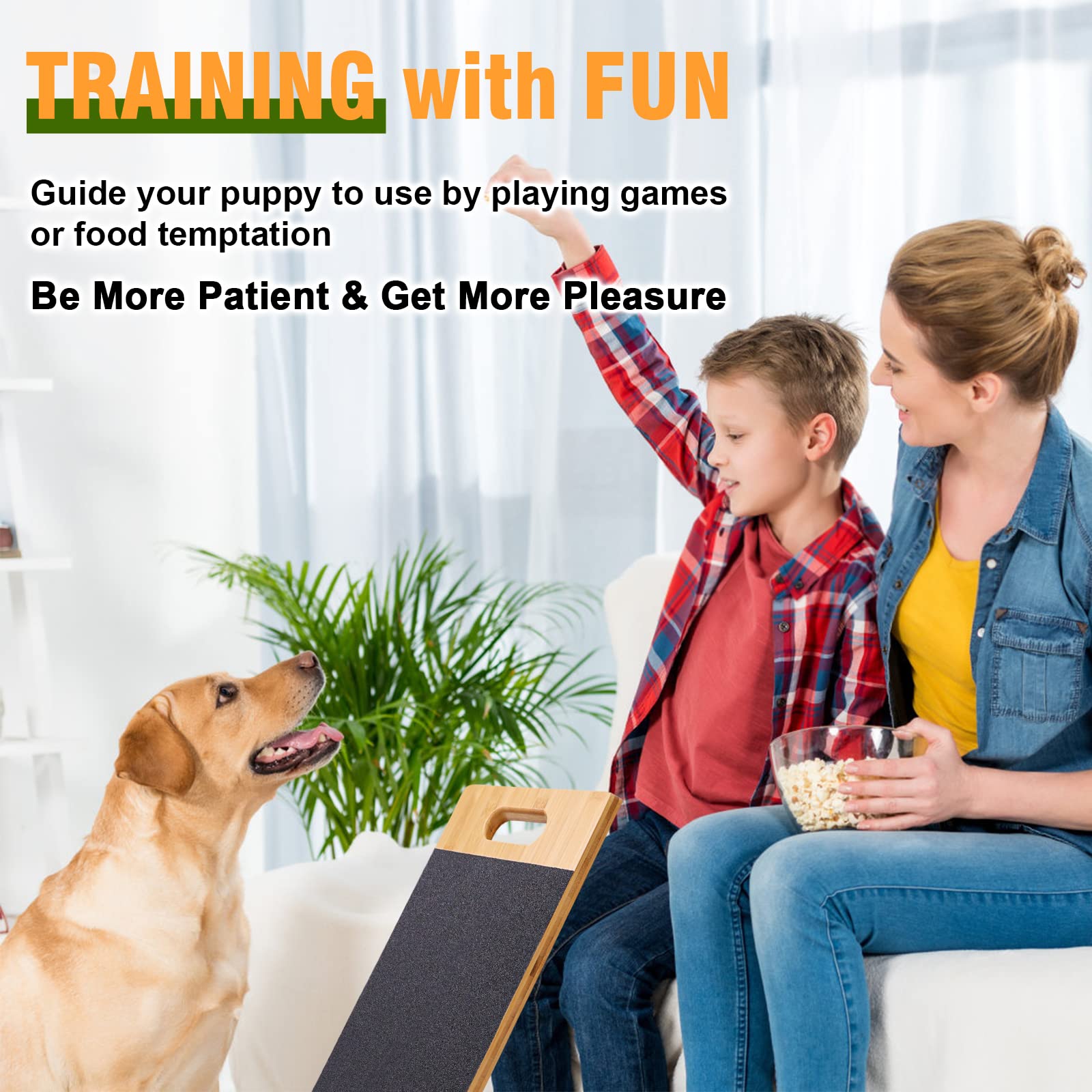 https://m.media-amazon.com/images/I/71m6El53a7L.jpg