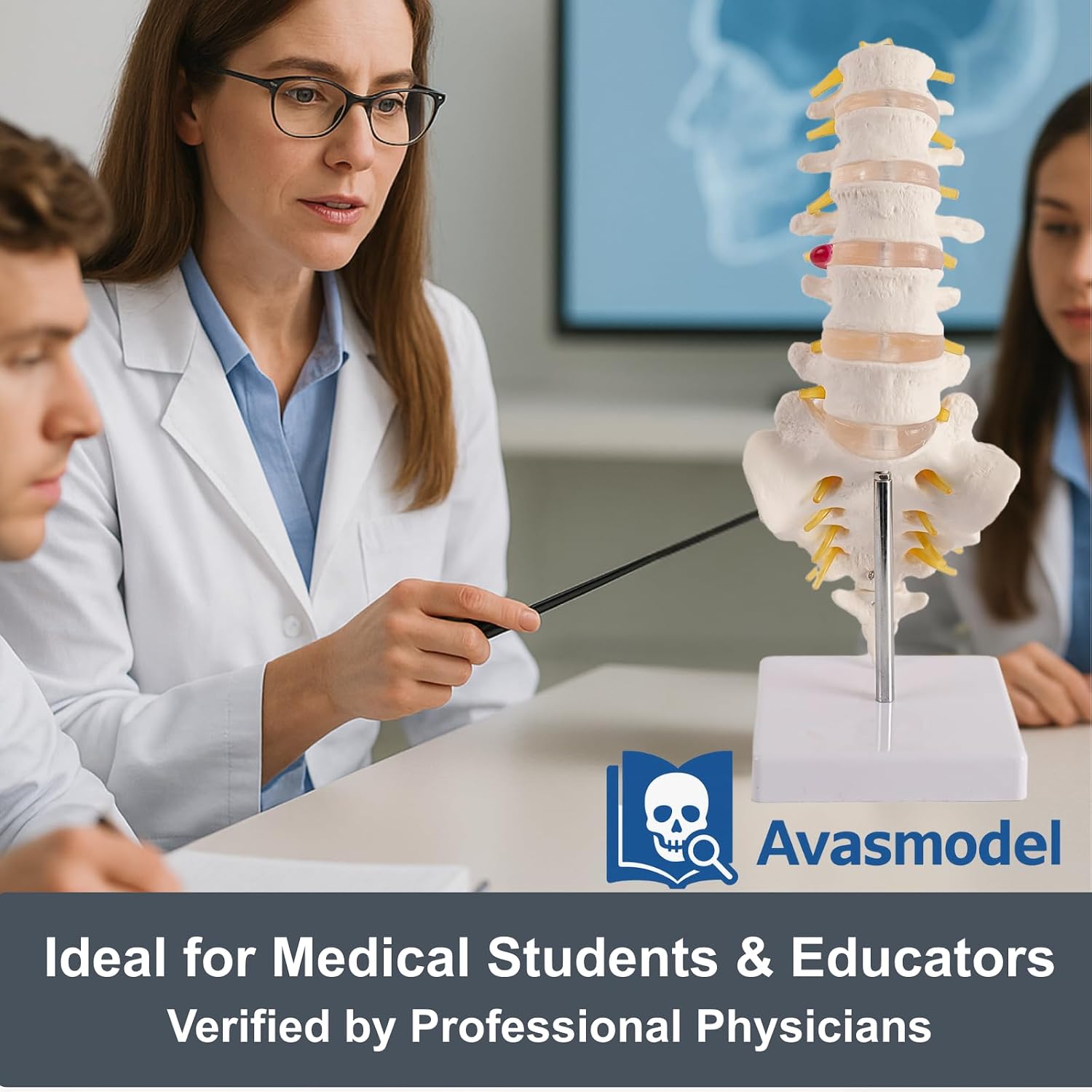 Doctor Verified Lumbar Spine Model - Life Size Human Lumbar Vertebrae Anatomy Model with Sacrum, Coccyx, Intervertebral Disc and Spine Nerves for Medical Learning & Teaching & Demonstrating