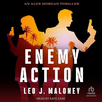 Enemy Action Audiobook by Leo J. Maloney episode artwork