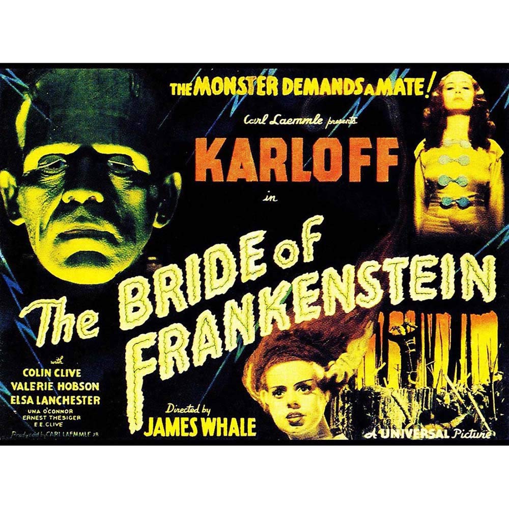 Wee Blue Coo Movie Film Sequel Bride Frankenstein Karloff Whale Horror USA Art Print Poster Wall Decor 12X16 Inch