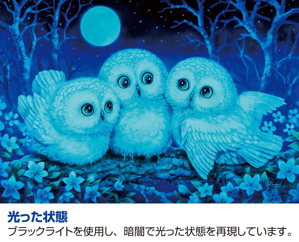 【新品未開封】 光のささやき　ジグソーパズル　1000ピース　ステフェンオリバー Amazon | 未開封◇ 笹倉鉄平 1000ピース ジグソーパズル