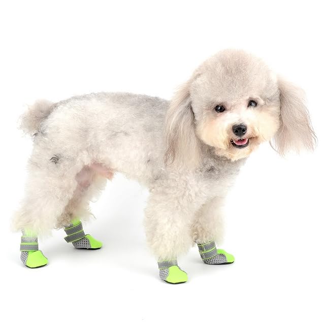 Foto 7 de 8 de Zunea Botas Protectoras de Malla para el Verano para Perros Pequeños