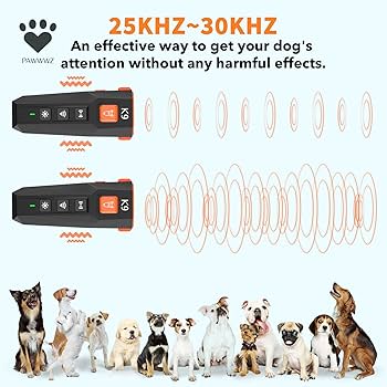 Nick walker Raining Barking Dog 外箱 証書付 Nick Walker（ニック・ウォーカー）のRaining Barking Dogがご