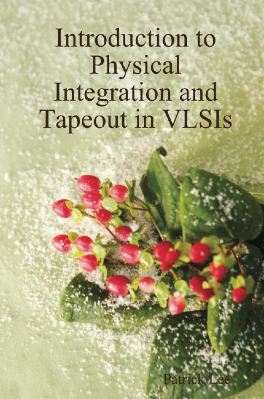 Introduction to Physical Integration and Tapeout in VLSIs