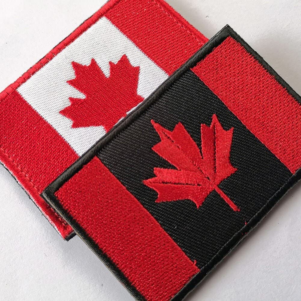 Foglia Di Acero Della Bandiera Del Canada Sul Contesto Di Lerciume Illustrazione di Stock