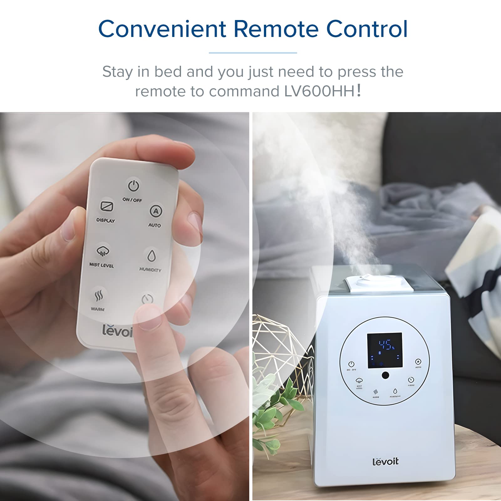 https://m.media-amazon.com/images/I/71m6OM2u3wL.jpg