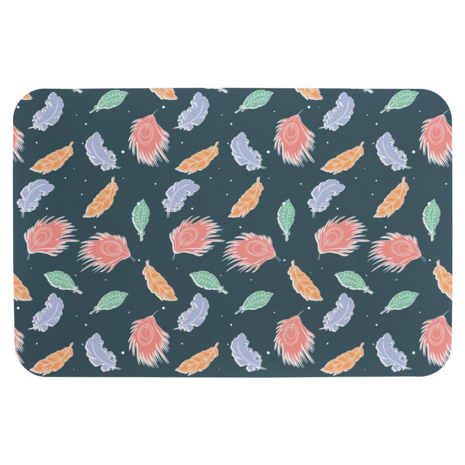 Tapis de bain pour douche et porte intérieure à motif plumes colorées frais