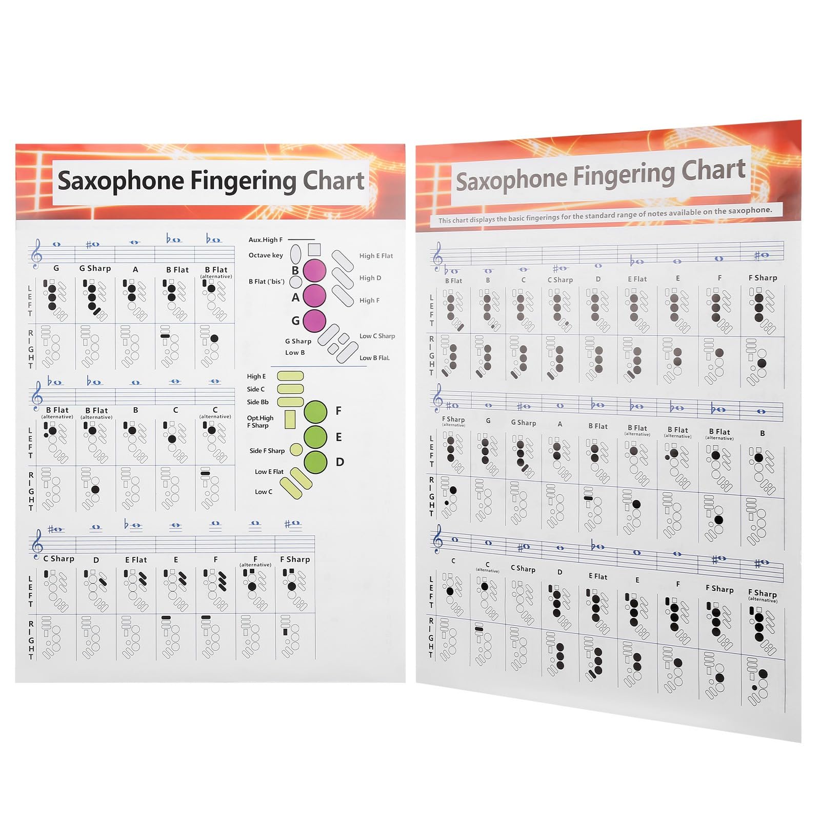 Tableau de Doigté de Saxophone, Guide de Base avec Diagrammes D'accords Universels, Papier Couché Portable, Stockage sur Tube de Papier Long