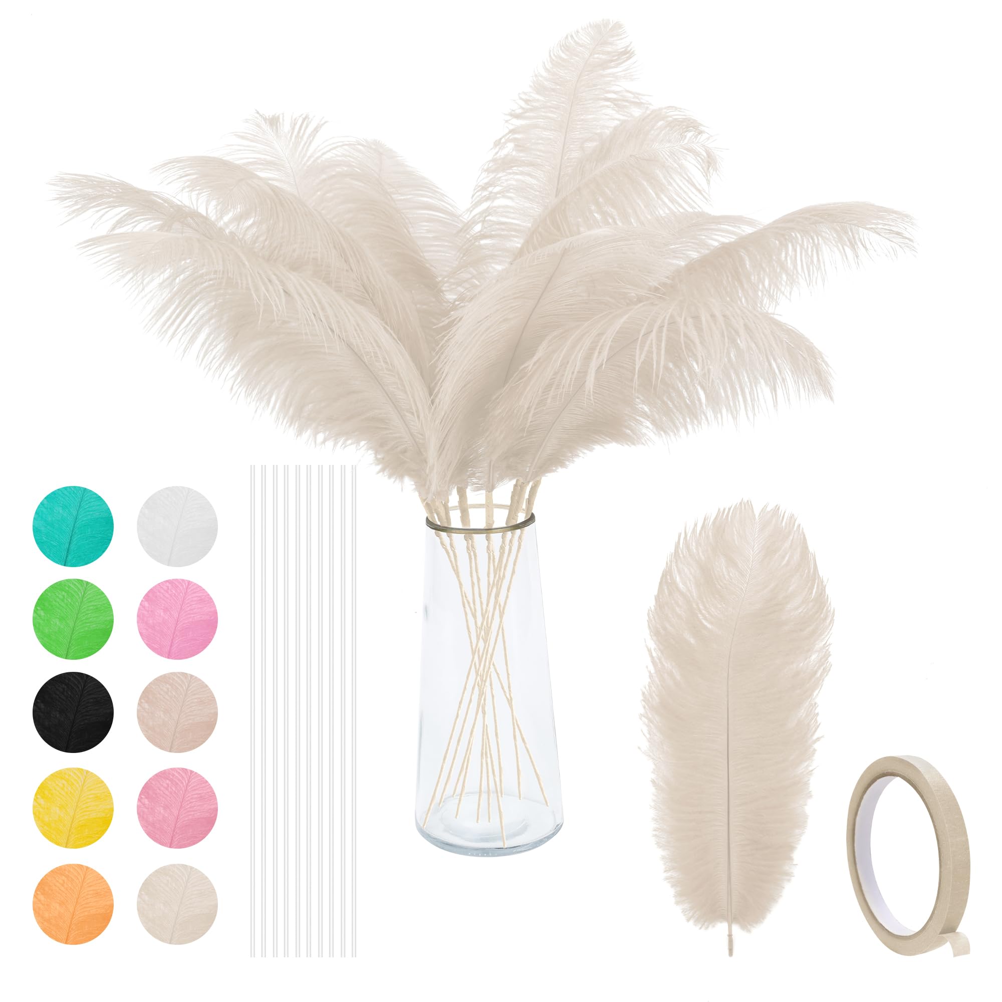 Plumes d'autruche en vrac beige 12 pièces, centre de table mariage et vase maison