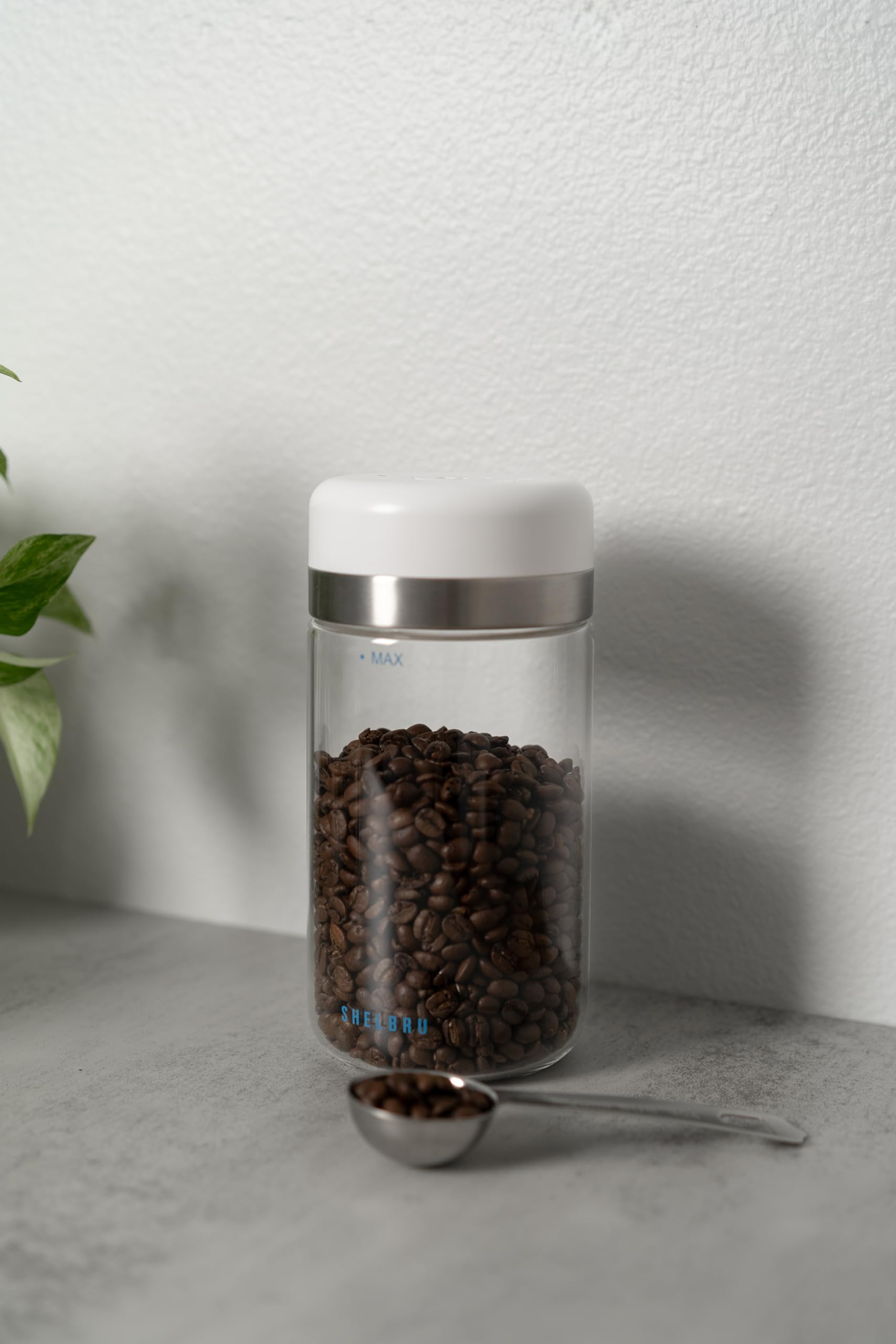 Smart Coffee Container & Food Storage w/Electric Vacuum Seal, Airtight Coffee Canister for Whole & Ground Bean Storage, Durable Borosilicate Glass Jar, Charging Cable Included, 250g